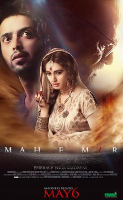 mah e mir pakistani movie poster