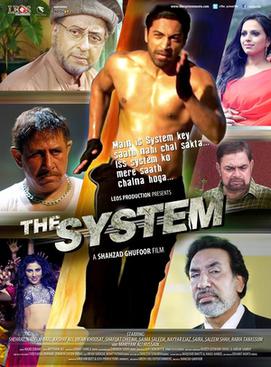 the system pakistani movie poster